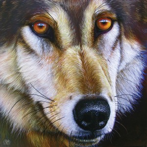SunsOut: Wolf Face (1000) wolvenpuzzel