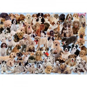 Ravensburger: Dog's Gallery (1000) hondenpuzzel