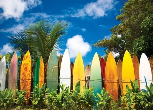 Eurographics: Surfer's Paradise Hawaii (1000) legpuzzel