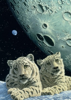 Grafika: Schim Schimmel - Lair of the Snow Leopard (1000) puzzel