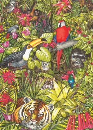 Otter House: Rainforests of the World (1000) legpuzzel