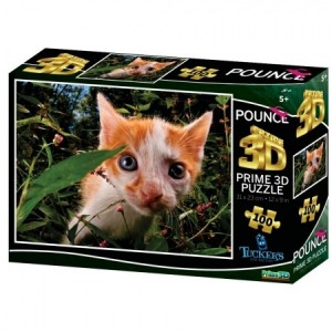 Tucker Fun Factory: Pounce (100) 3D legpuzzel