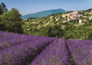 Jumbo: Provence, Aurel (500) legpuzzel