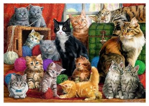 Trefl: Cats Meeting - Marcello Corti (1000) kattenpuzzel