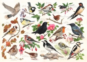 House of Puzzles: Birds in my garden (1000) vogelpuzzel