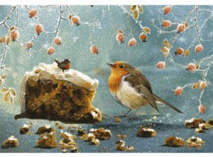 Otter House: Christmas Robin (500) kerstpuzzel