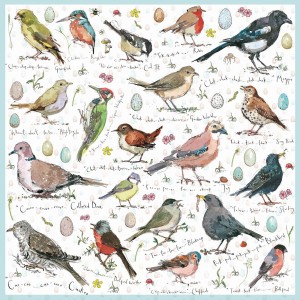 Otter House: Birdsong (1000) vierkante vogelpuzzel