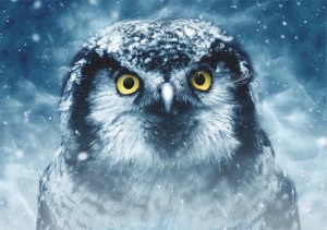 Deico: Owl (1000) uilenpuzzel