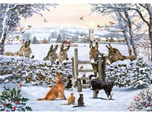 Otter House: Donkey Encounter (1000) legpuzzel