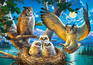 Castorland: Owl Family (500) uilenpuzzel