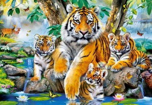Castorland: Tigers by the stream (1000) tijgerpuzzel