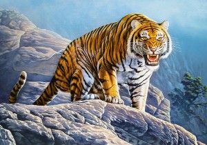 Castorland: Tiger on the Rocks (500) tijgerpuzzel