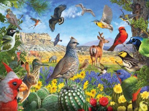SunsOut: Texas Birds (1000) vogelpuzzel