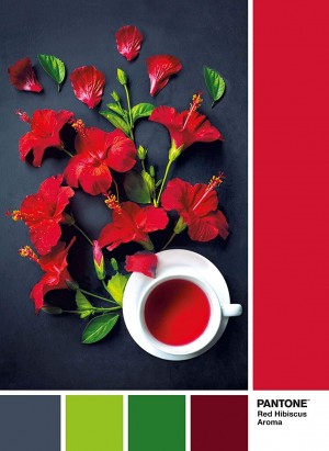 Clementoni: Pantone Red Hibiscus Aroma (1000) legpuzzel