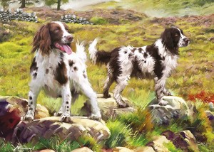 Otter House: Spaniels on the Moor (1000) hondenpuzzel