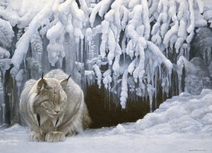 Cobble Hill: Dozing Lynx (1000) winterpuzzel