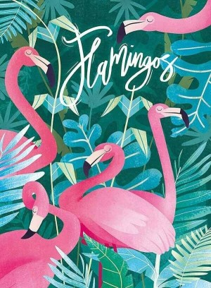 Clementoni: Flamingos (500) verticale puzzel