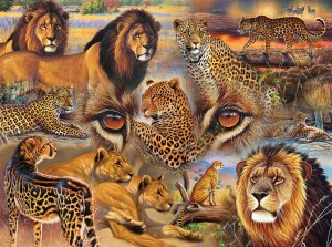 SunsOut: Big Cats of the Plains (500) legpuzzel