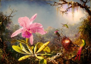 Art By Bluebird: Cattleya Orchid and Three Hummingbirds (1000) kunstpuzzel