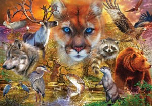 KS Games: North American Animals (1000) legpuzzel