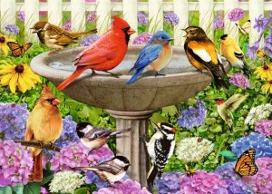 Ravensburger: Bij het vogelbadje - Greg Giordano (500XL) vogelpuzzel