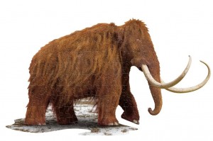 Madd Capp: I Am Woolly Mammoth (100) shaped puzzel