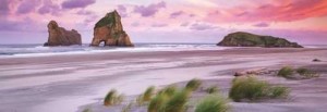 Heye: Alexander von Humboldt - Wharariki Beach (1000) panoramapuzzel